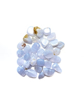 Load image into Gallery viewer, Blue Lace Chips