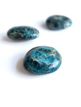 Load image into Gallery viewer, Apatite Palm Stone