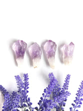Load image into Gallery viewer, Natural Amethyst Points (Small)