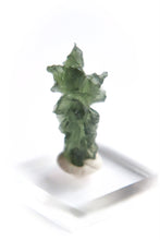 Load image into Gallery viewer, Besednice Moldavite