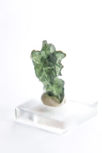 Load image into Gallery viewer, Besednice Moldavite