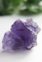 Load image into Gallery viewer, Berbes Fluorite