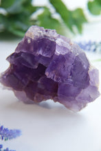 Load image into Gallery viewer, Berbes Fluorite