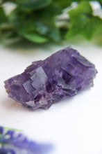 Load image into Gallery viewer, Berbes Fluorite