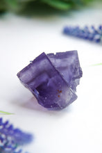 Load image into Gallery viewer, Berbes Fluorite