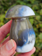 Load image into Gallery viewer, Orca Agate Mushroom