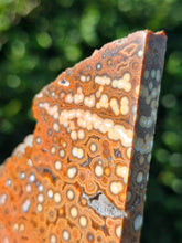 Load image into Gallery viewer, River Jasper Slab #1