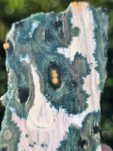 Load image into Gallery viewer, Ocean Jasper Slab #2