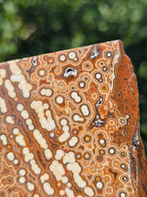 Load image into Gallery viewer, River Jasper Slab #2