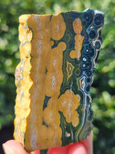 Load image into Gallery viewer, Ocean Jasper Slab #5