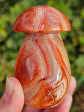 Load image into Gallery viewer, Carnelian Mushroom