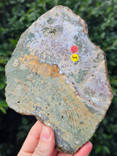 Load image into Gallery viewer, River Jasper Slab #5