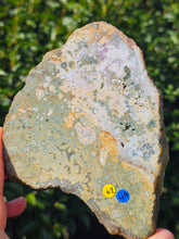 Load image into Gallery viewer, River Jasper Slab #4