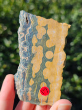 Load image into Gallery viewer, Ocean Jasper Slab #5