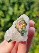 Load image into Gallery viewer, Watermelon Tourmaline in Quartz
