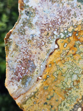 Load image into Gallery viewer, River Jasper Slab #5