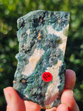Load image into Gallery viewer, Ocean Jasper Slab #2