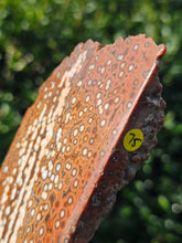 Load image into Gallery viewer, River Jasper Slab #3