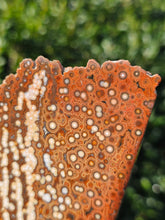 Load image into Gallery viewer, River Jasper Slab #3