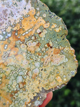 Load image into Gallery viewer, River Jasper Slab #5