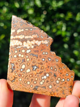 Load image into Gallery viewer, River Jasper Slab #1