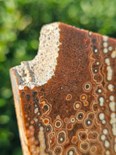 Load image into Gallery viewer, River Jasper Slab #2