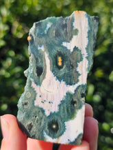 Load image into Gallery viewer, Ocean Jasper Slab #2