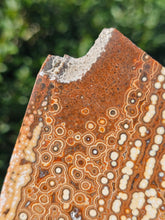 Load image into Gallery viewer, River Jasper Slab #2