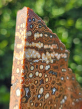 Load image into Gallery viewer, River Jasper Slab #1