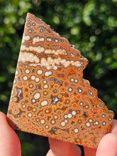 Load image into Gallery viewer, River Jasper Slab #1