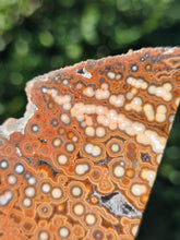 Load image into Gallery viewer, River Jasper Slab #1