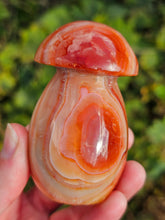 Load image into Gallery viewer, Carnelian Mushroom