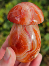 Load image into Gallery viewer, Carnelian Mushroom