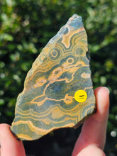 Load image into Gallery viewer, Ocean Jasper Slab #3