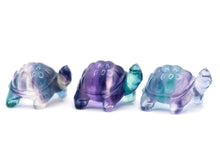 Load image into Gallery viewer, Fluorite Tortoise