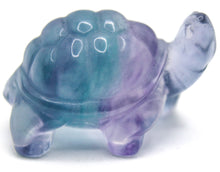 Load image into Gallery viewer, Fluorite Tortoise