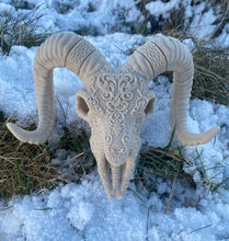 Load image into Gallery viewer, Ram Skull (3D Printed)