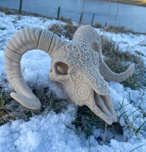 Load image into Gallery viewer, Ram Skull (3D Printed)