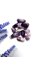 Dream Amethyst Chips