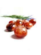 Carnelian Palms