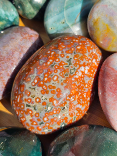ocean jasper palm stone polished crystal in orange with orbicular patterns