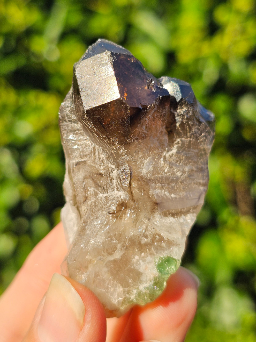 Smokey Elestial Quartz with Green Tourmaline