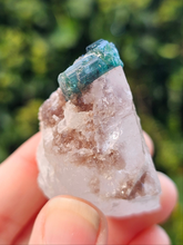 Load image into Gallery viewer, Indicolite (Blue Tourmaline) in Quartz
