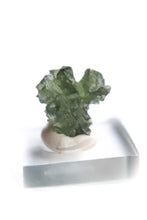 Load image into Gallery viewer, Besednice Moldavite
