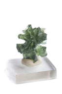 Besednice Moldavite
