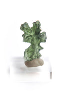 Besednice Moldavite