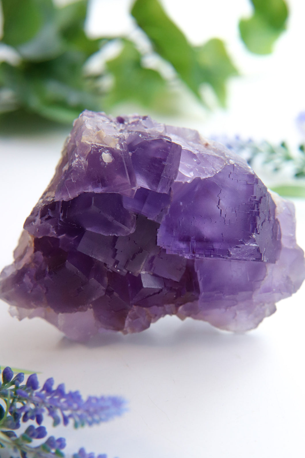 Berbes Fluorite