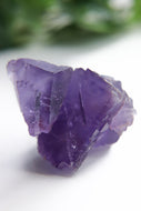Berbes Fluorite