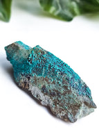 Chrysocolla on Quartz