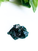 Load image into Gallery viewer, Dioptase
